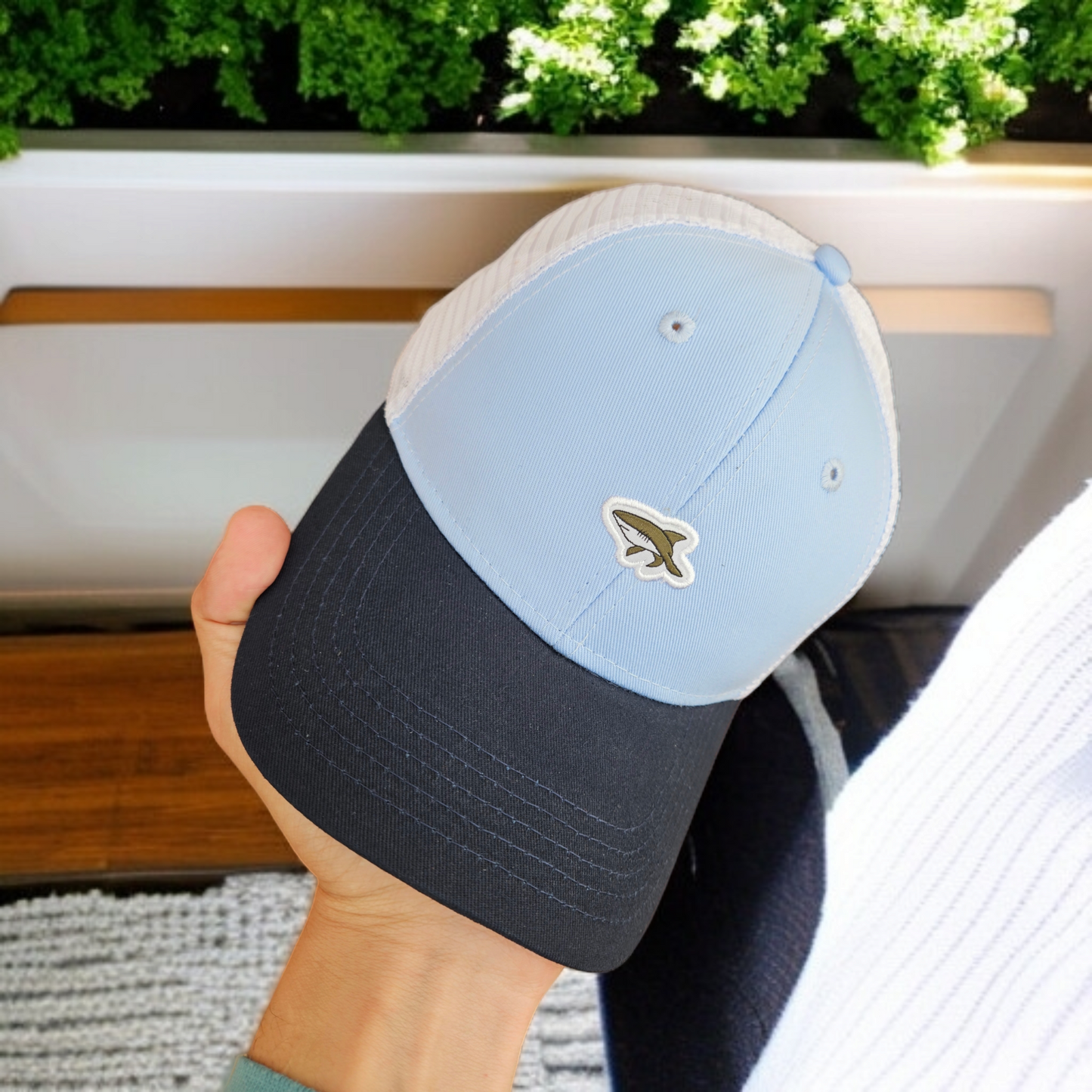 Casquette Shark bleu ciel